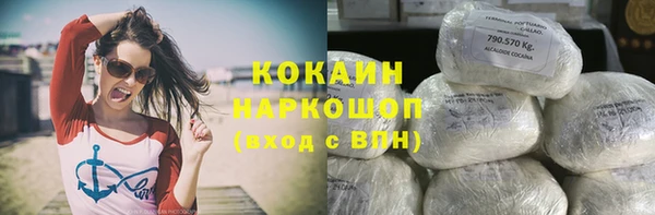 СК Алзамай