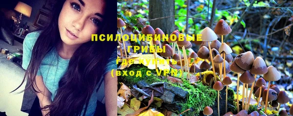 СК Алзамай