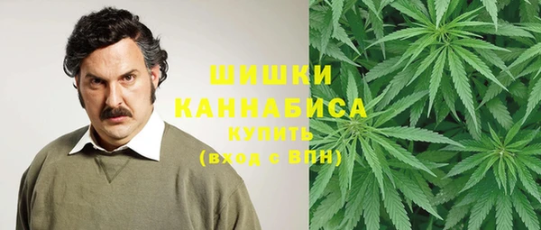 СК Алзамай