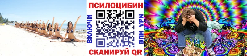 Псилоцибиновые грибы GOLDEN TEACHER купить наркоту darknet телеграм Оленегорск